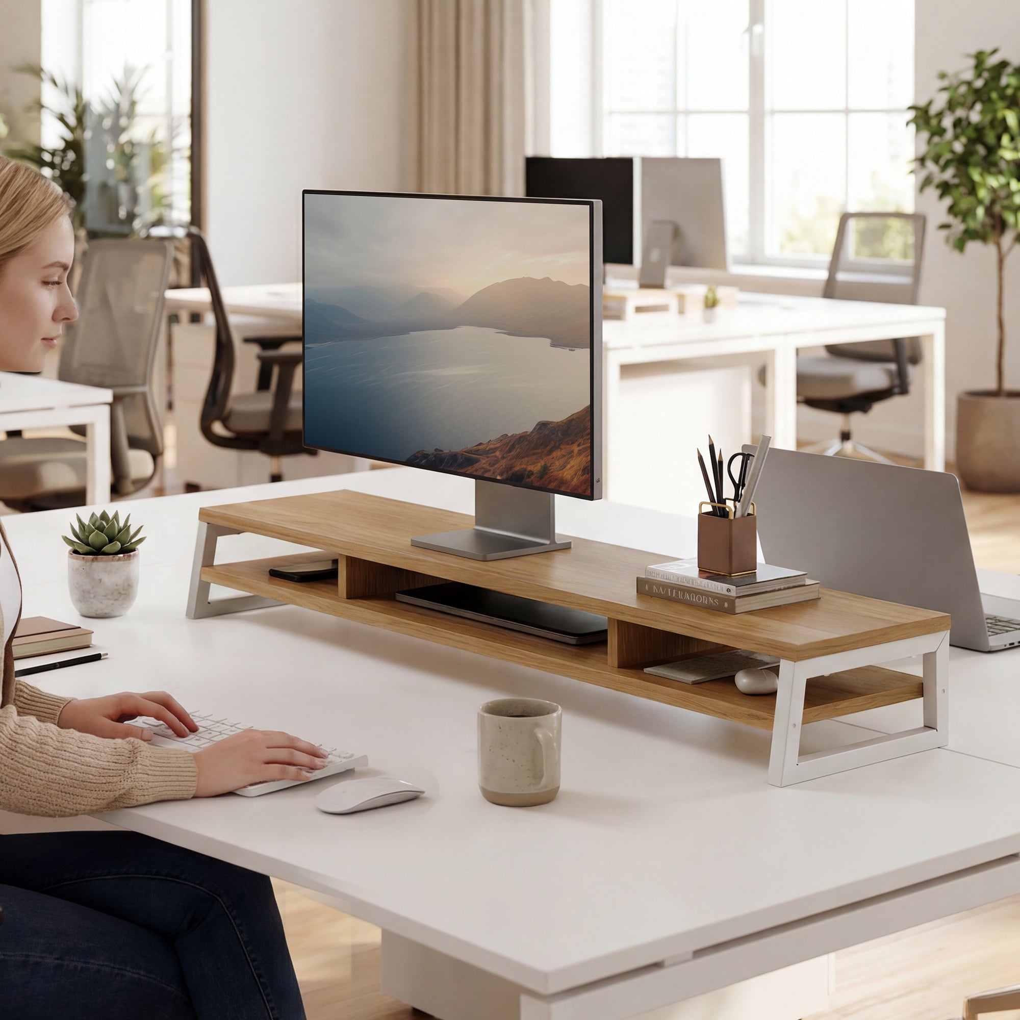 Frida F210 Monitor Stand