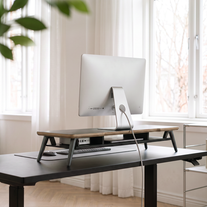 Rodin A510 Monitor Stand-Black