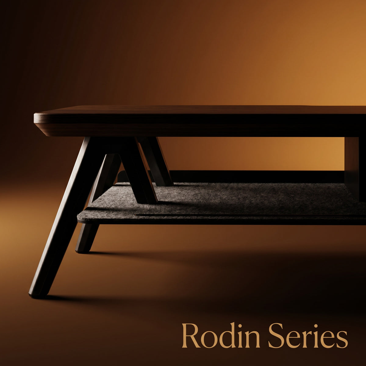 Why We Created the Rodin Series