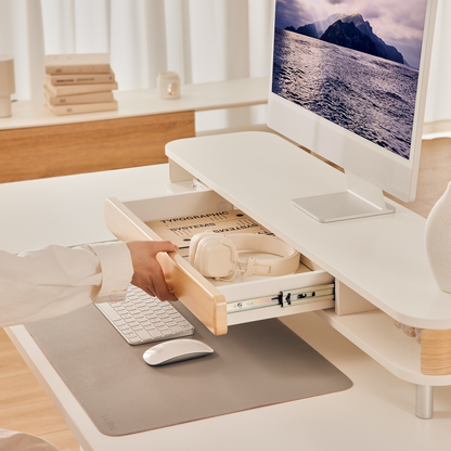 Bastion D510 Monitor Stand