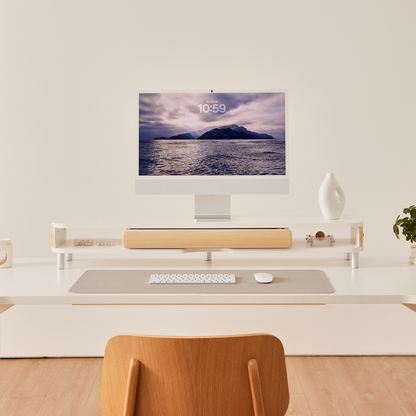 Bastion D510 Monitor Stand