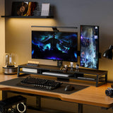 Frida Dual Monitor Stand F210 - 42.5" Black